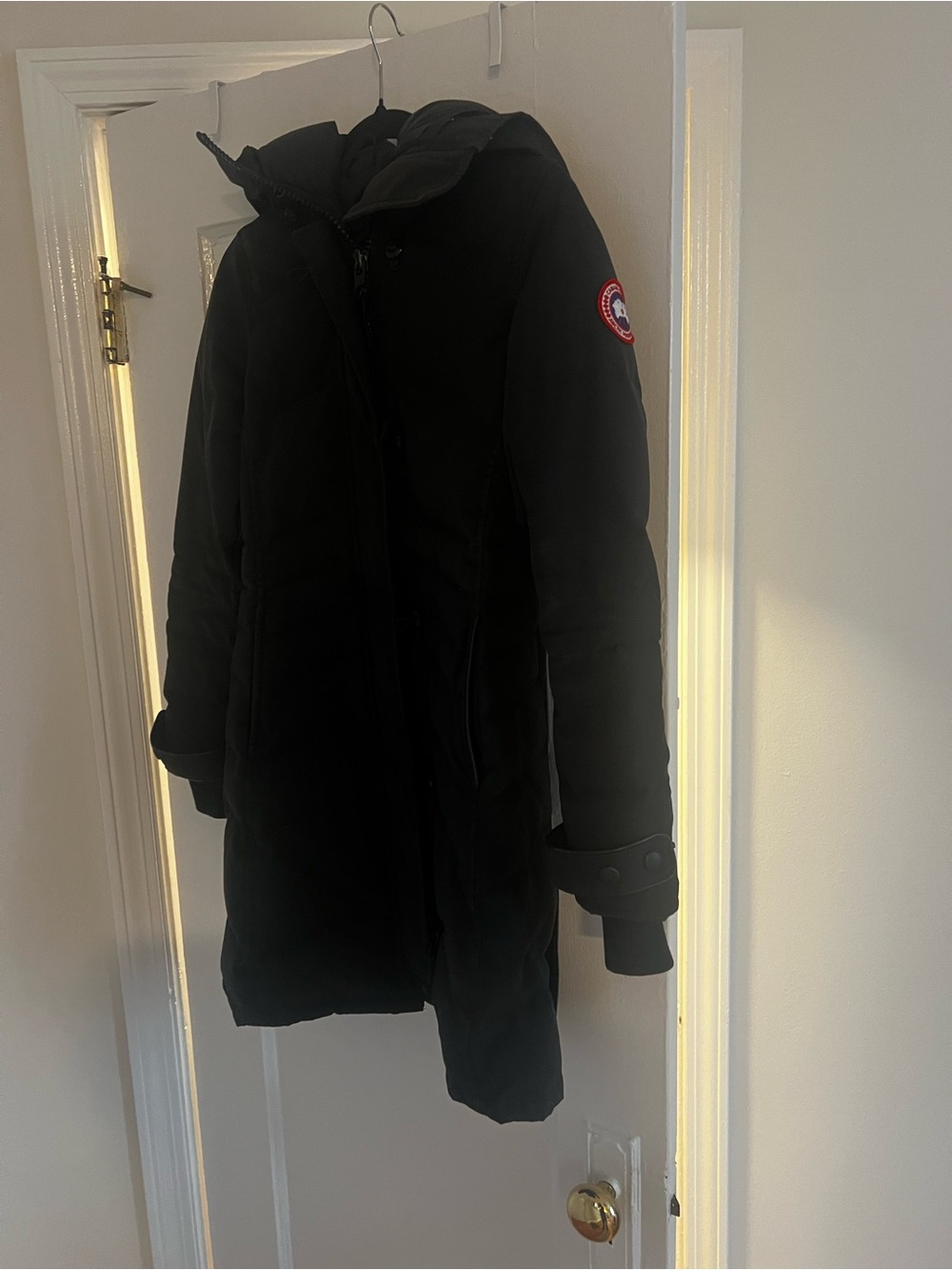 Canada Goose